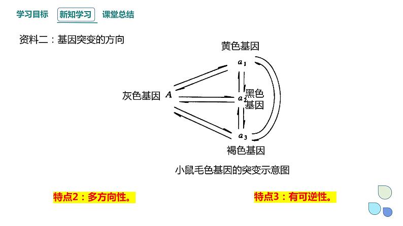 4.1 课时2 基因突变可能引起性状改变 课件 2023-2024学年高一生物浙版（2019）必修204