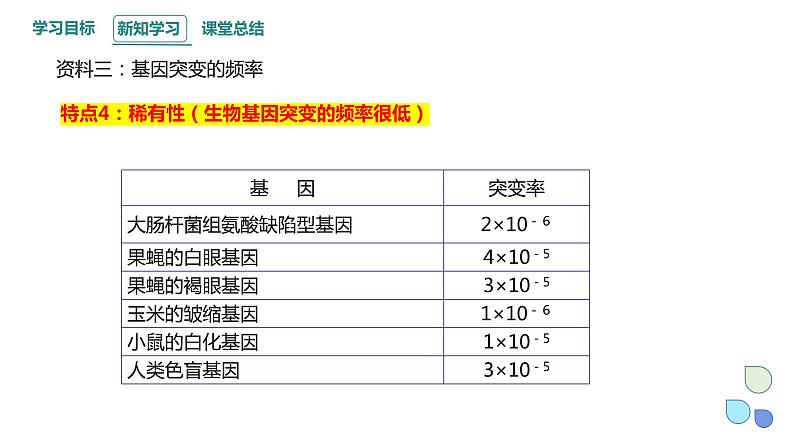 4.1 课时2 基因突变可能引起性状改变 课件 2023-2024学年高一生物浙版（2019）必修205