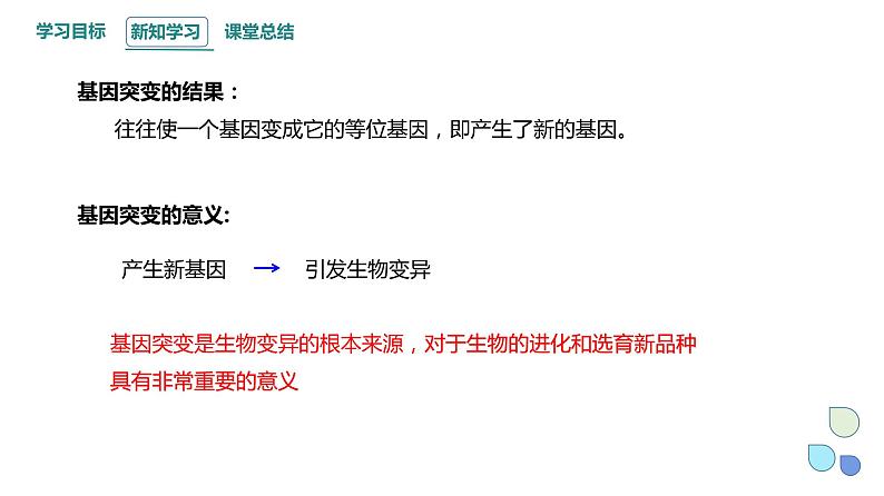 4.1 课时2 基因突变可能引起性状改变 课件 2023-2024学年高一生物浙版（2019）必修207