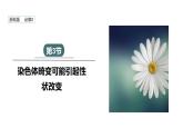 4.3 染色体畸变可能引起性状改变 课件 2023-2024学年高一生物浙科版（2019）必修2