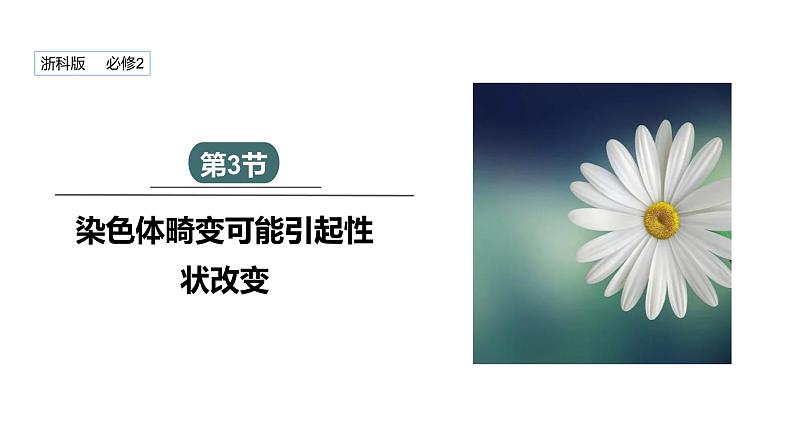 4.3 染色体畸变可能引起性状改变 课件 2023-2024学年高一生物浙科版（2019）必修201