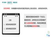 4.3 染色体畸变可能引起性状改变 课件 2023-2024学年高一生物浙科版（2019）必修2