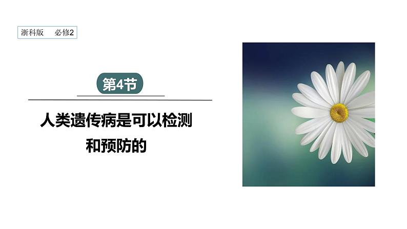 4.4 人类遗传病是可以检测和预防的 课件 2023-2024学年高一生物浙科版（2019）必修201