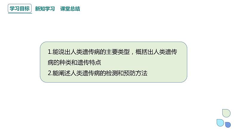 4.4 人类遗传病是可以检测和预防的 课件 2023-2024学年高一生物浙科版（2019）必修202