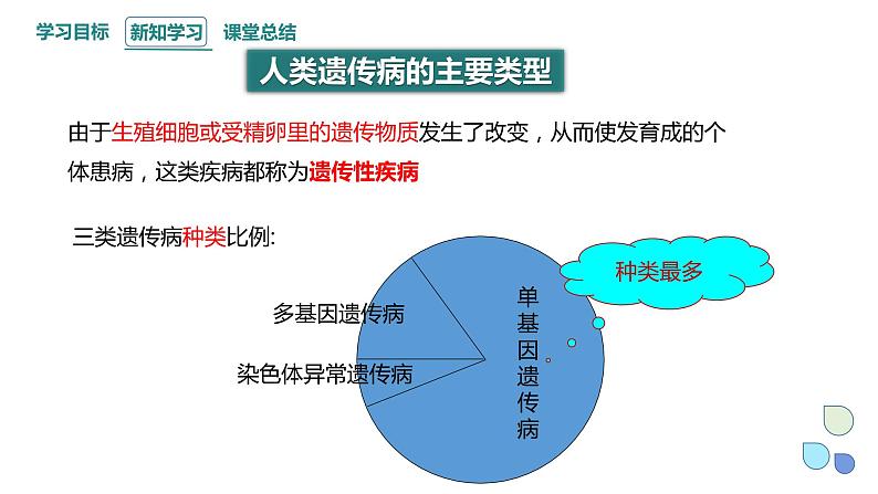 4.4 人类遗传病是可以检测和预防的 课件 2023-2024学年高一生物浙科版（2019）必修204