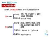 4.4 人类遗传病是可以检测和预防的 课件 2023-2024学年高一生物浙科版（2019）必修2