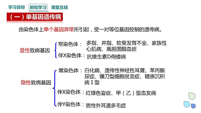 4.4 人类遗传病是可以检测和预防的 课件 2023-2024学年高一生物浙科版（2019）必修205