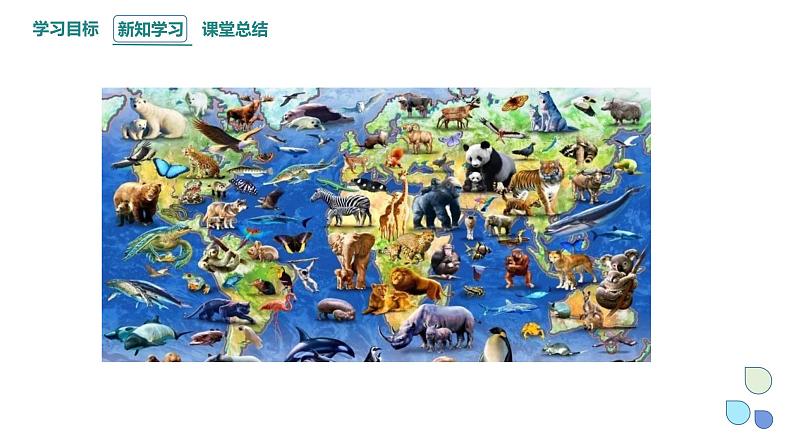 5.1 丰富多样的现存物种来自共同祖先 课件 2023-2024学年高一生物浙科版（2019）必修203