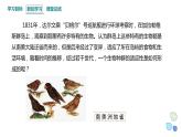 5.2 课时1 适应是自然选择的结果 课件 2023-2024学年高一生物浙科版（2019）必修2