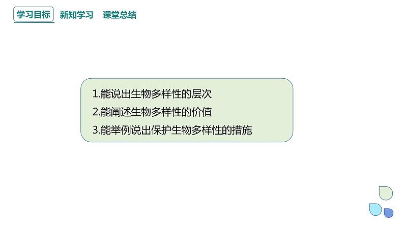 5.3 生物多样性为人类生存提供资源与适宜环境 课件 2023-2024学年高一生物浙科版（2019）必修202