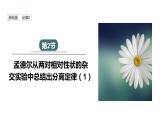 1.2 课时1 孟德尔从两对相对性状的杂交实验中总结出分离定律(1) 课件 2023-2024学年高一生物浙科版（2019）必修2