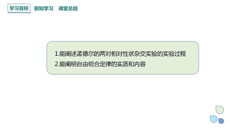 1.2 课时1 孟德尔从两对相对性状的杂交实验中总结出分离定律(1) 课件 2023-2024学年高一生物浙科版（2019）必修203