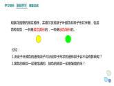 1.2 课时1 孟德尔从两对相对性状的杂交实验中总结出分离定律(1) 课件 2023-2024学年高一生物浙科版（2019）必修2