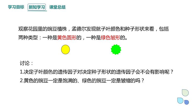 1.2 课时1 孟德尔从两对相对性状的杂交实验中总结出分离定律(1) 课件 2023-2024学年高一生物浙科版（2019）必修204