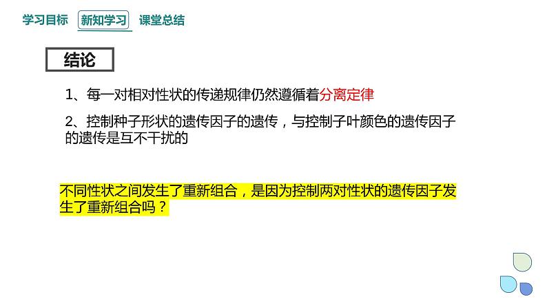 1.2 课时1 孟德尔从两对相对性状的杂交实验中总结出分离定律(1) 课件 2023-2024学年高一生物浙科版（2019）必修207