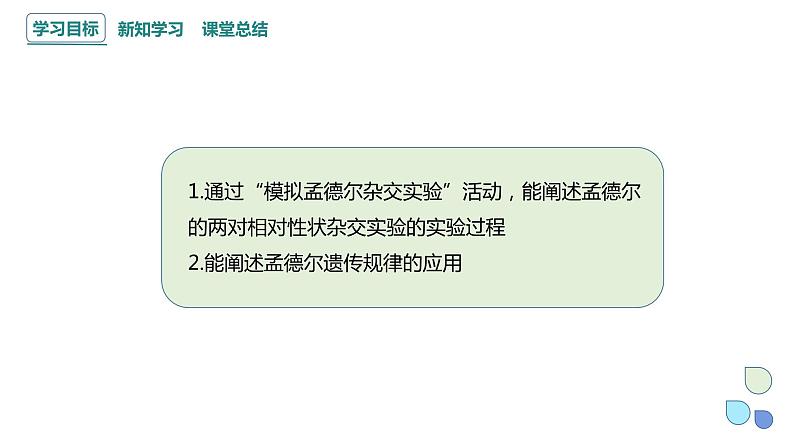 1.2 课时2 孟德尔从两对相对性状的杂交实验中总结出分离定律（2） 课件 2023-2024学年高一生物浙教版（2019）必修202