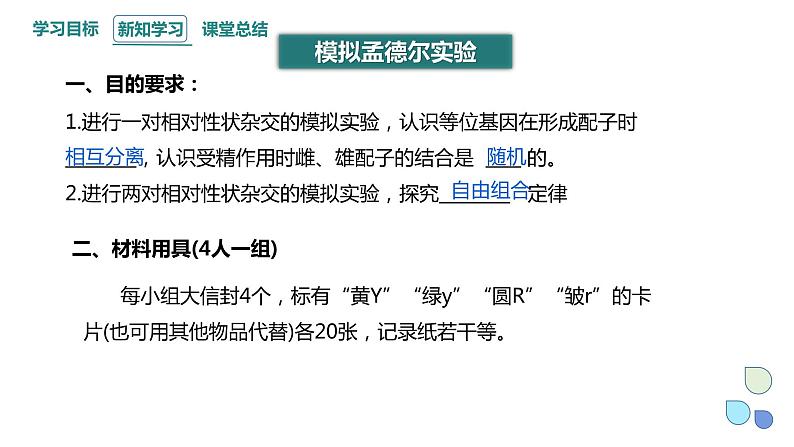 1.2 课时2 孟德尔从两对相对性状的杂交实验中总结出分离定律（2） 课件 2023-2024学年高一生物浙教版（2019）必修203