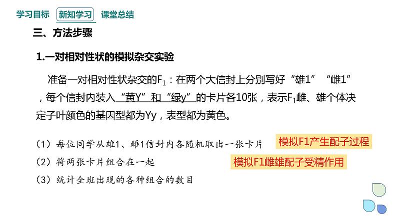 1.2 课时2 孟德尔从两对相对性状的杂交实验中总结出分离定律（2） 课件 2023-2024学年高一生物浙教版（2019）必修204