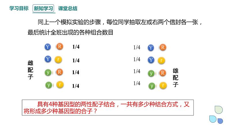 1.2 课时2 孟德尔从两对相对性状的杂交实验中总结出分离定律（2） 课件 2023-2024学年高一生物浙教版（2019）必修207