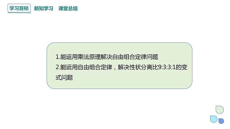 1.2 课时3 孟德尔从两对相对性状的杂交实验中总结出分离定律（3） 课件 2023-2024学年高一生物浙科版（2019）必修202