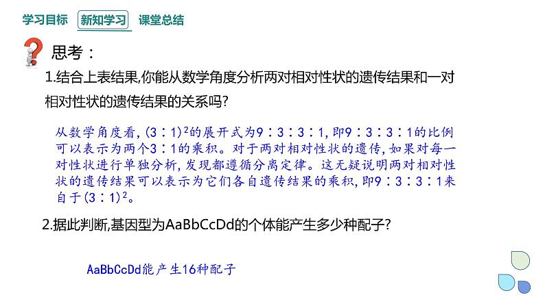 1.2 课时3 孟德尔从两对相对性状的杂交实验中总结出分离定律（3） 课件 2023-2024学年高一生物浙科版（2019）必修204