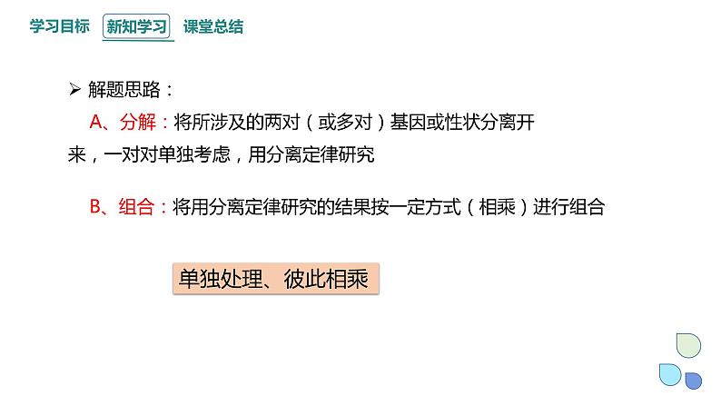 1.2 课时3 孟德尔从两对相对性状的杂交实验中总结出分离定律（3） 课件 2023-2024学年高一生物浙科版（2019）必修205