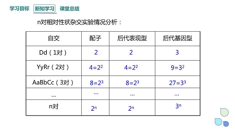 1.2 课时3 孟德尔从两对相对性状的杂交实验中总结出分离定律（3） 课件 2023-2024学年高一生物浙科版（2019）必修206