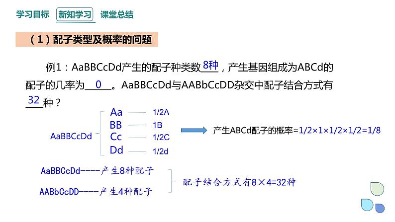 1.2 课时3 孟德尔从两对相对性状的杂交实验中总结出分离定律（3） 课件 2023-2024学年高一生物浙科版（2019）必修207