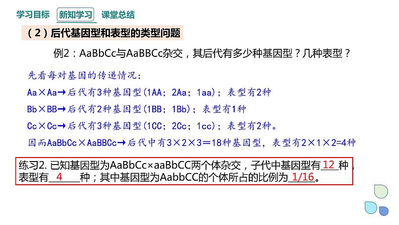 1.2 课时3 孟德尔从两对相对性状的杂交实验中总结出分离定律（3） 课件 2023-2024学年高一生物浙科版（2019）必修208