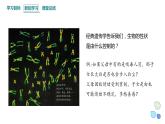 3.5 生物体存在表现遗传现象 课件 2023-2024学年高一生物浙科版（2019）必修2