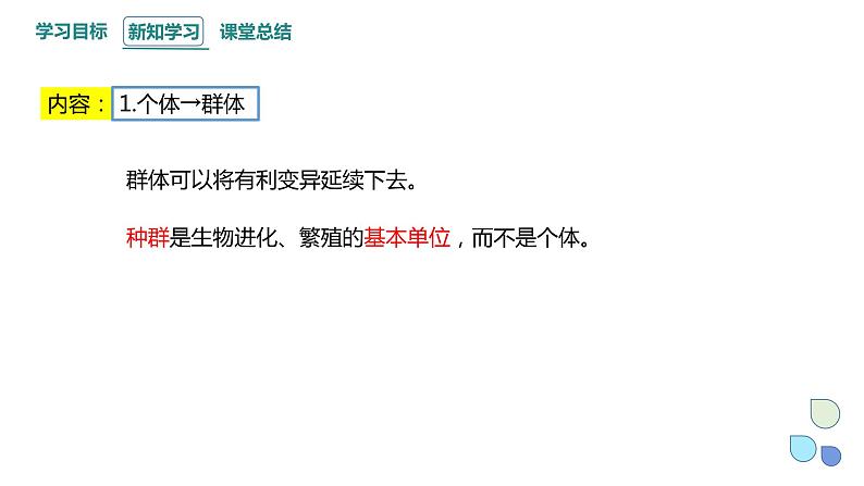 5.2 课时2 适应是自然选择的结果 课件 2023-2024学年高一生物浙教版（2019）必修二04