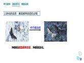 5.2 课时2 适应是自然选择的结果 课件 2023-2024学年高一生物浙教版（2019）必修二