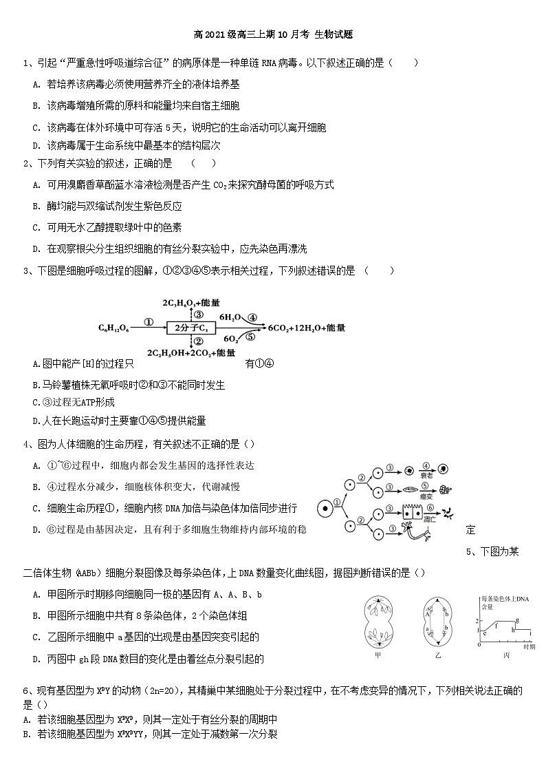四川省2024届高三生物上学期10月月考试题第1页