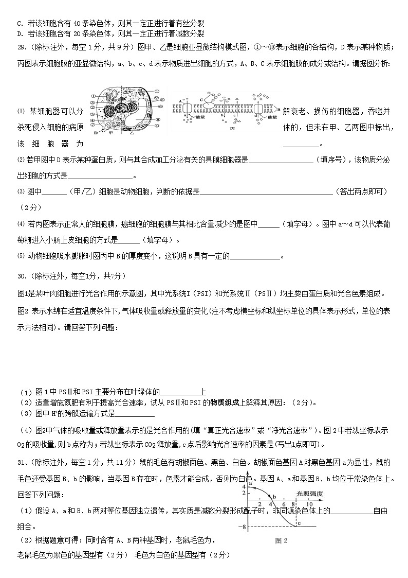 四川省2024届高三生物上学期10月月考试题第2页