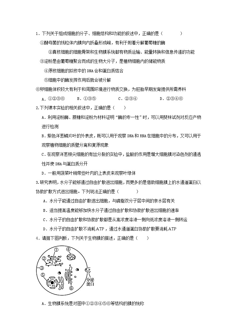 四川省2024届高三生物上学期10月月考试题补习班第1页