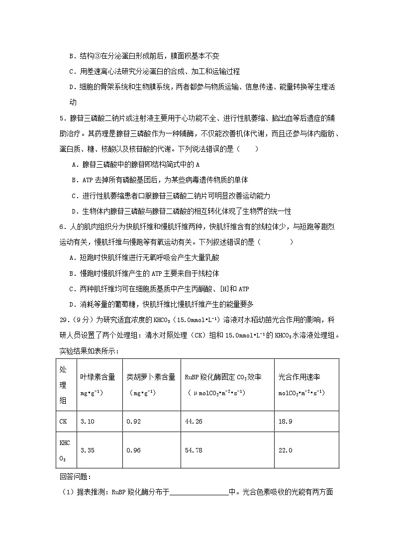 四川省2024届高三生物上学期10月月考试题补习班第2页