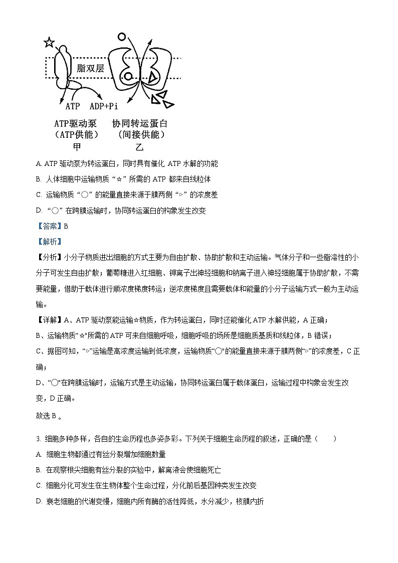 江西省部分学校2023-2024学年高三2月月考生物试题（解析版）第2页