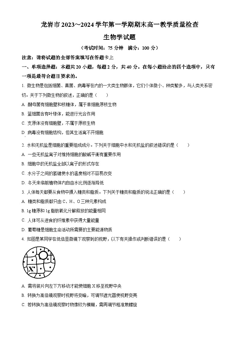 福建省龙岩市2023-2024学年高一上学期1月期末生物试题（Word版附解析）01