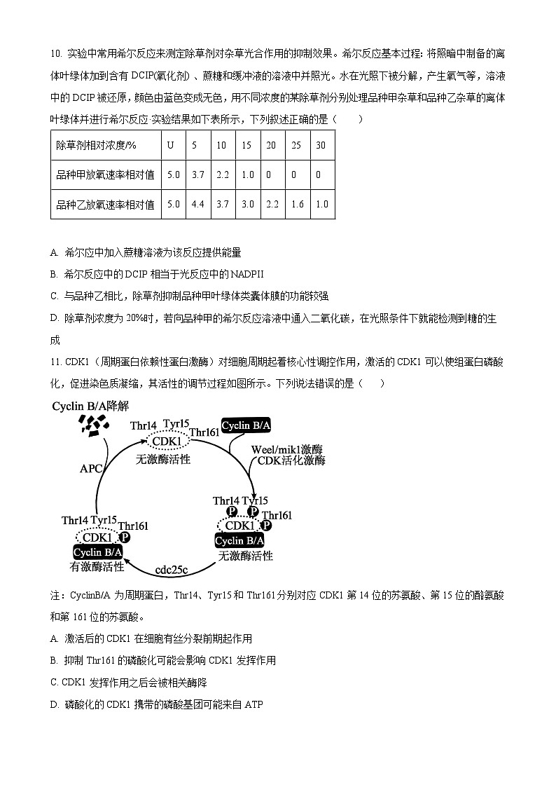 湖南省长沙市湖南师大附中2023-2024学年高一上学期期末生物试题（Word版附解析）03