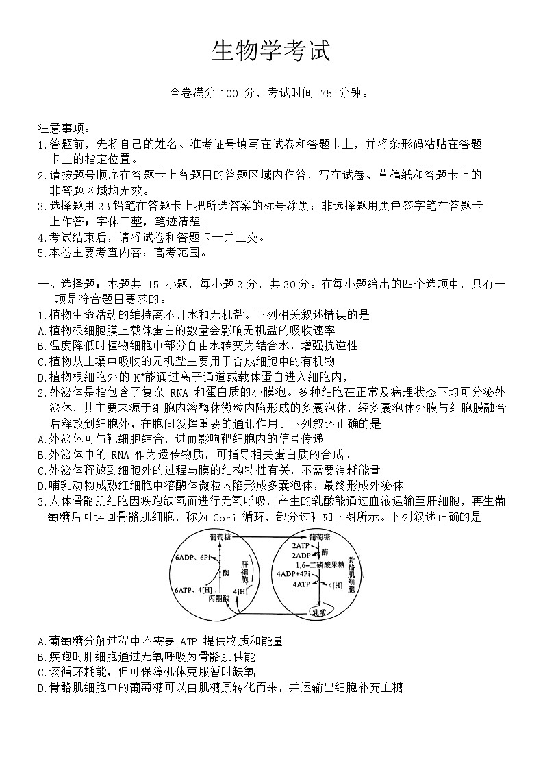 2024届黑龙江省齐齐哈尔市高三一模生物试题第1页