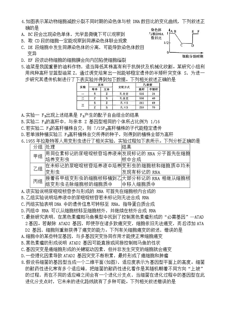 2024届黑龙江省齐齐哈尔市高三一模生物试题第2页