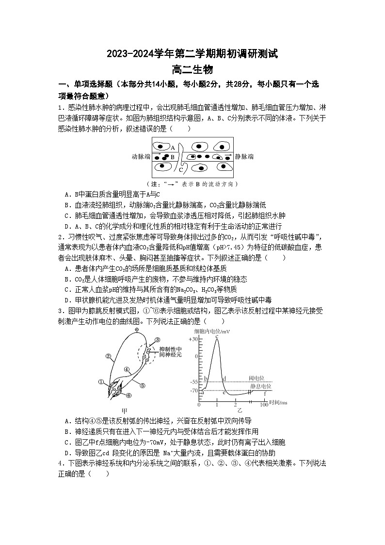 2024南京五校高二下学期期初调研测试生物含答案01