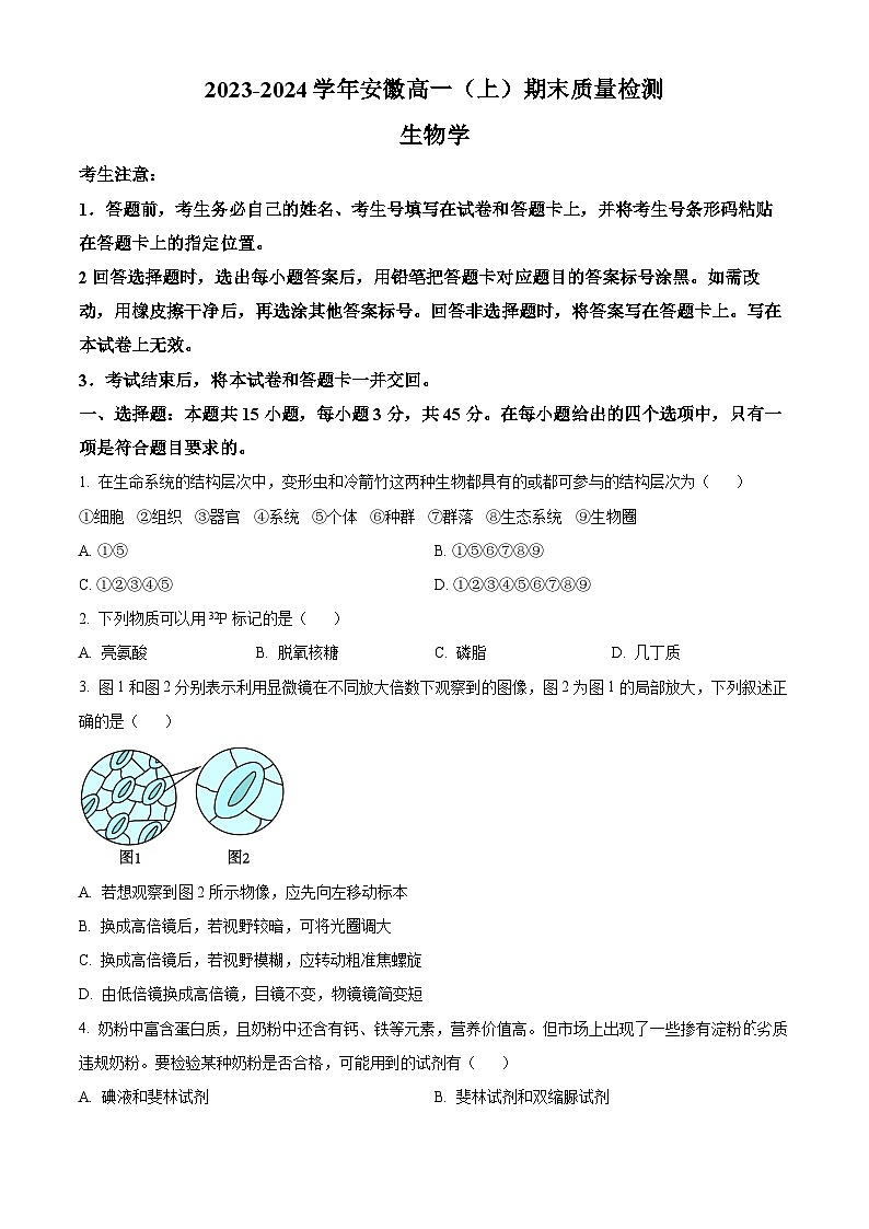 安徽省合肥市第六中学2023-2024学年高一上期末质量检测生物试卷（Word版附解析）01