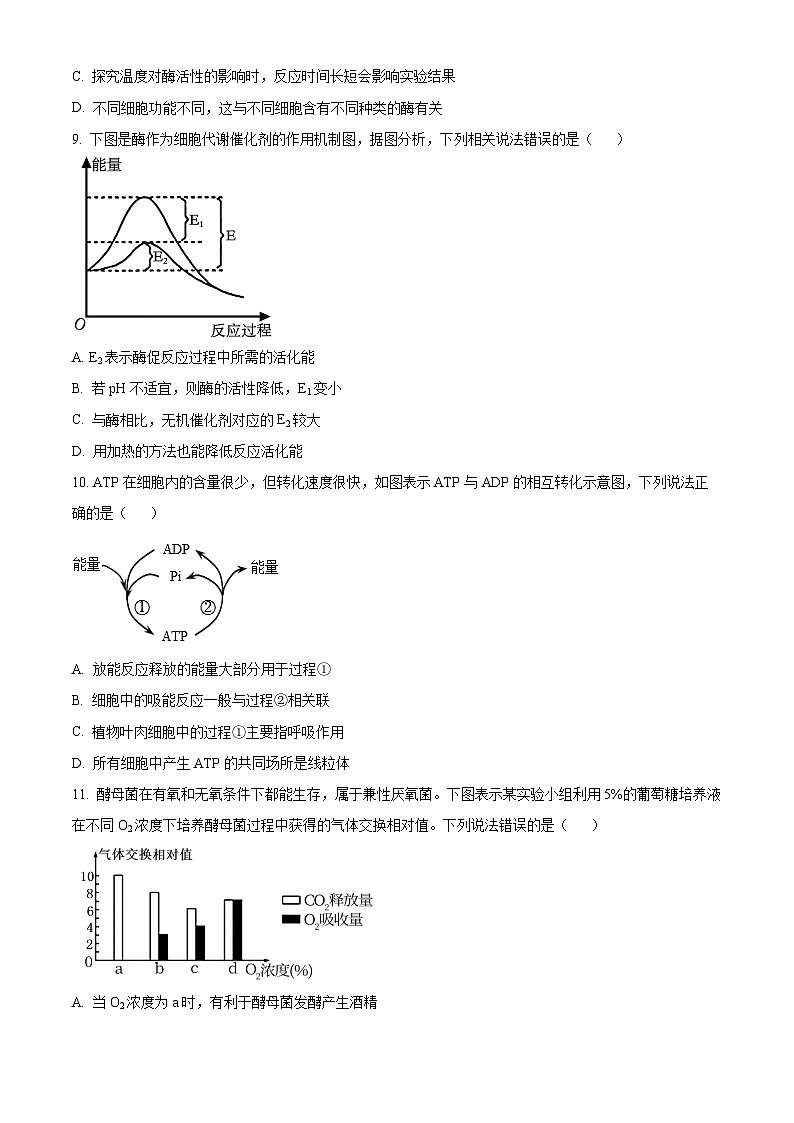 安徽省合肥市第六中学2023-2024学年高一上期末质量检测生物试卷（Word版附解析）03