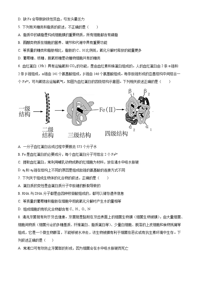 广东省阳江市高新区2023-2024学年高一上学期1月期末考试生物试卷（Word版附解析）02