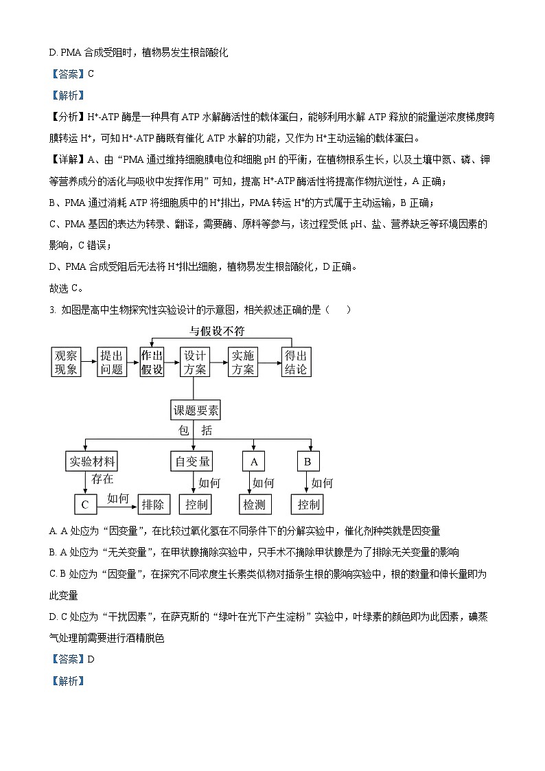 江西省上饶市2024届高三下学期第一次高考模拟考试生物试卷（Word版附解析）02