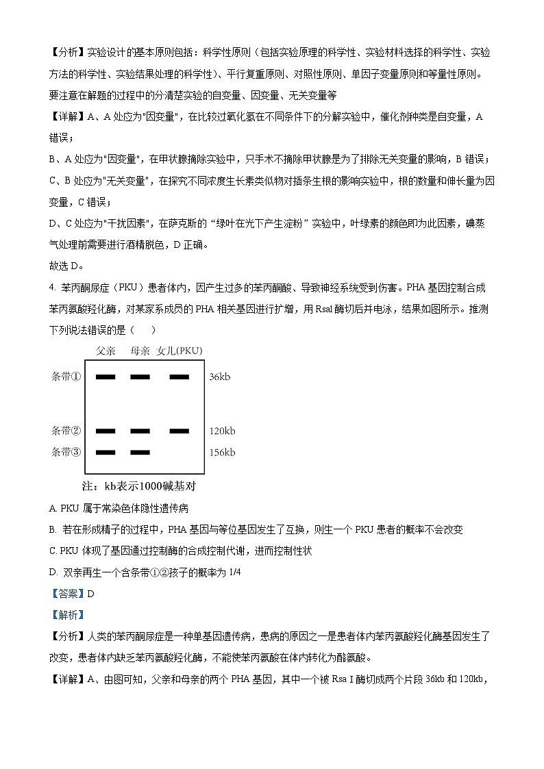 江西省上饶市2024届高三下学期第一次高考模拟考试生物试卷（Word版附解析）03