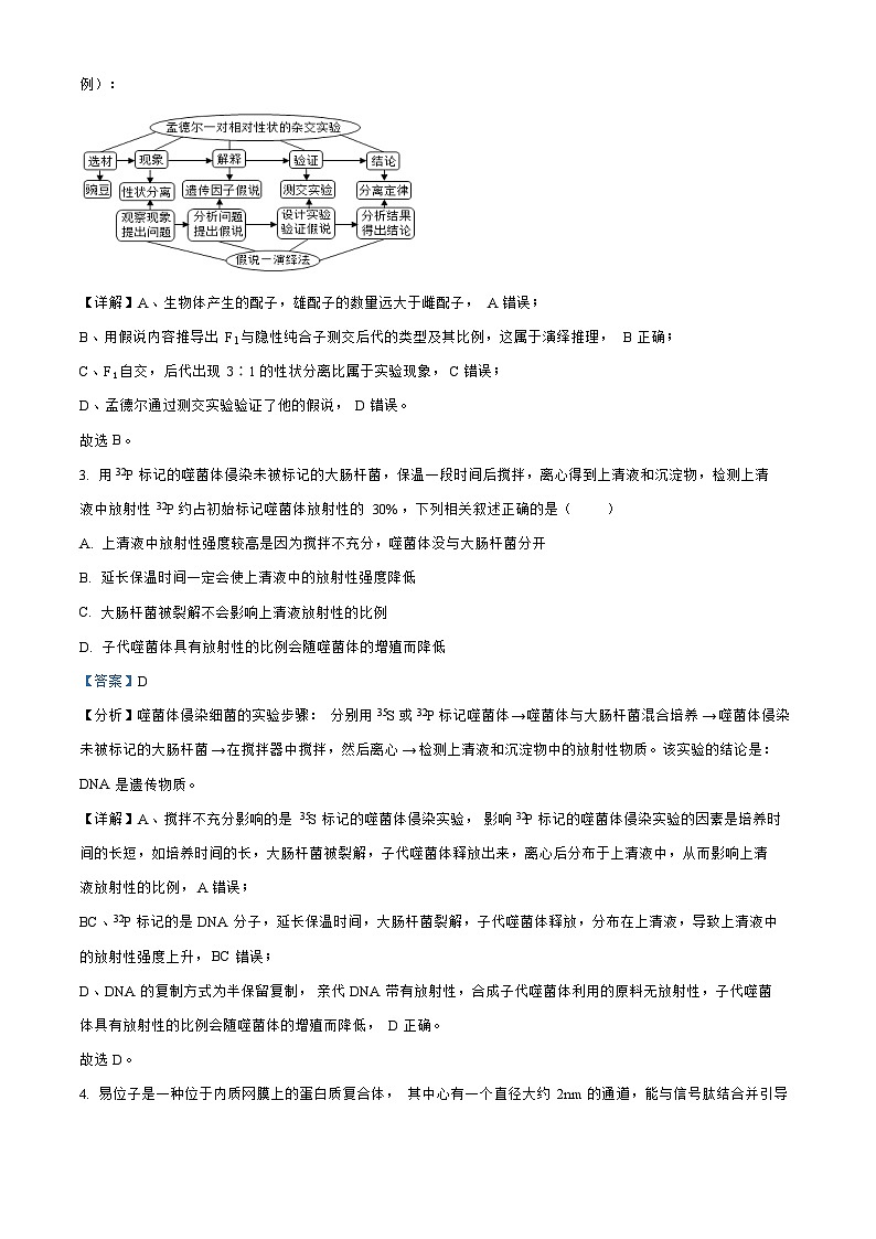 辽宁省沈阳2023_2024高三生物上学期10月阶段测试试题02