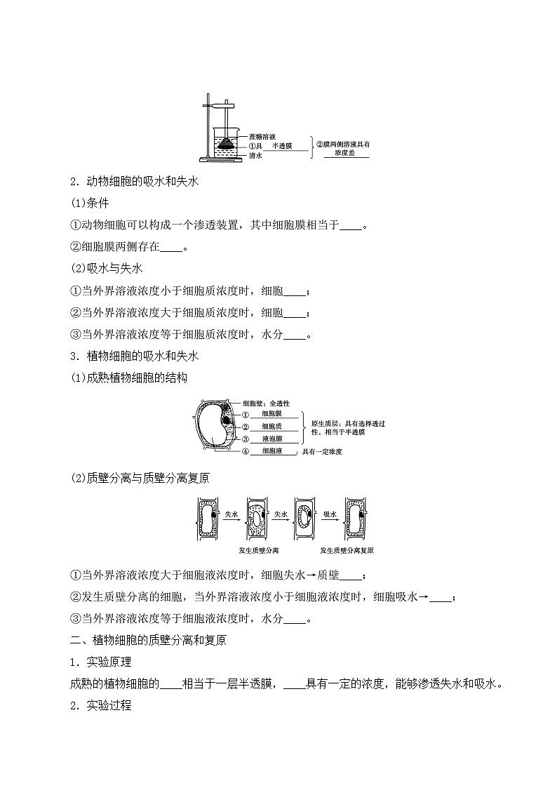 高一生物上学期课后培优分级练（2019人教版必修1）4.1 被动运输（原卷版+解析）02