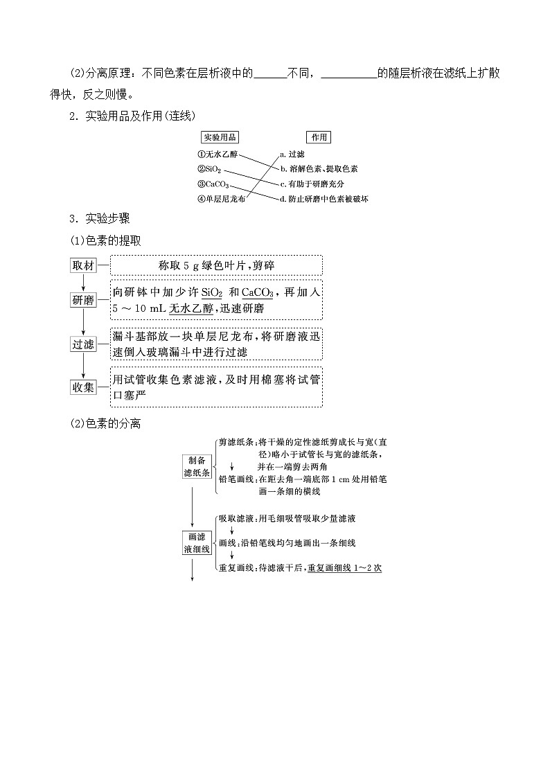 高一生物上学期课后培优分级练（2019人教版必修1）5.4.1 捕获光能的色素和结构（原卷版+解析）02